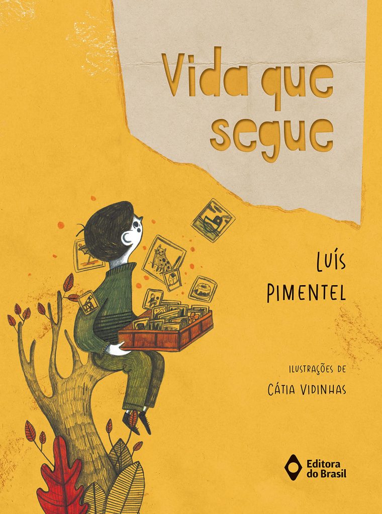 vida-que-segue-livro